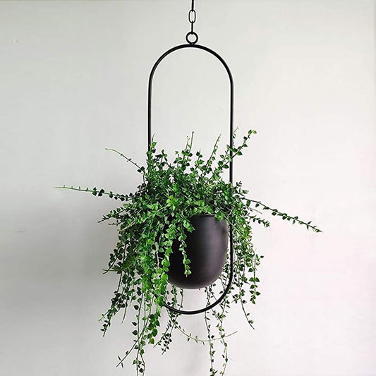Macetero colgante FloraFrame | Diseño moderno minimalista de hierro