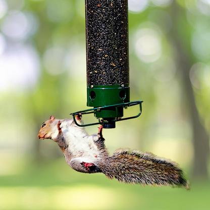 Comedero para Pájaros de Metal a Prueba de Ardillas Colgante para Exterior y Jardín en Tubo
