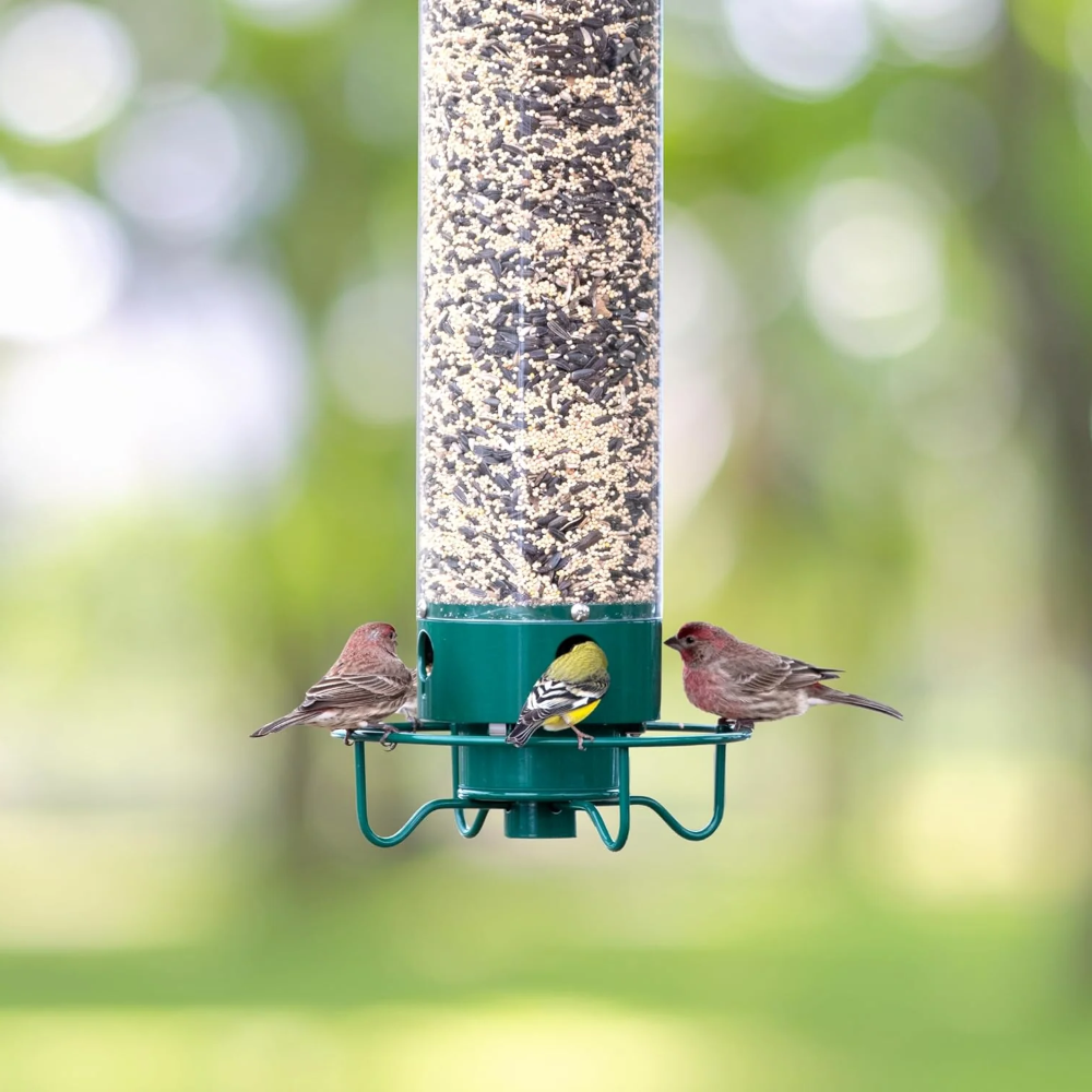 Comedero para Pájaros de Metal a Prueba de Ardillas Colgante para Exterior y Jardín en Tubo